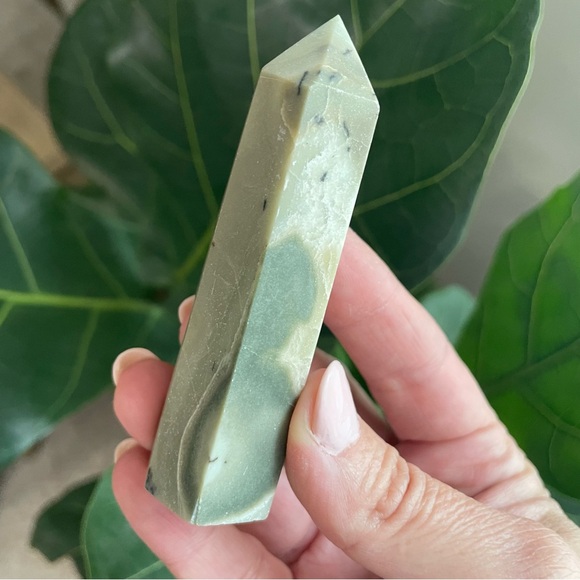 Four piece Crystal collection. Selenite, petrified wood, Amazon, Jasper, - Picture 4 of 7